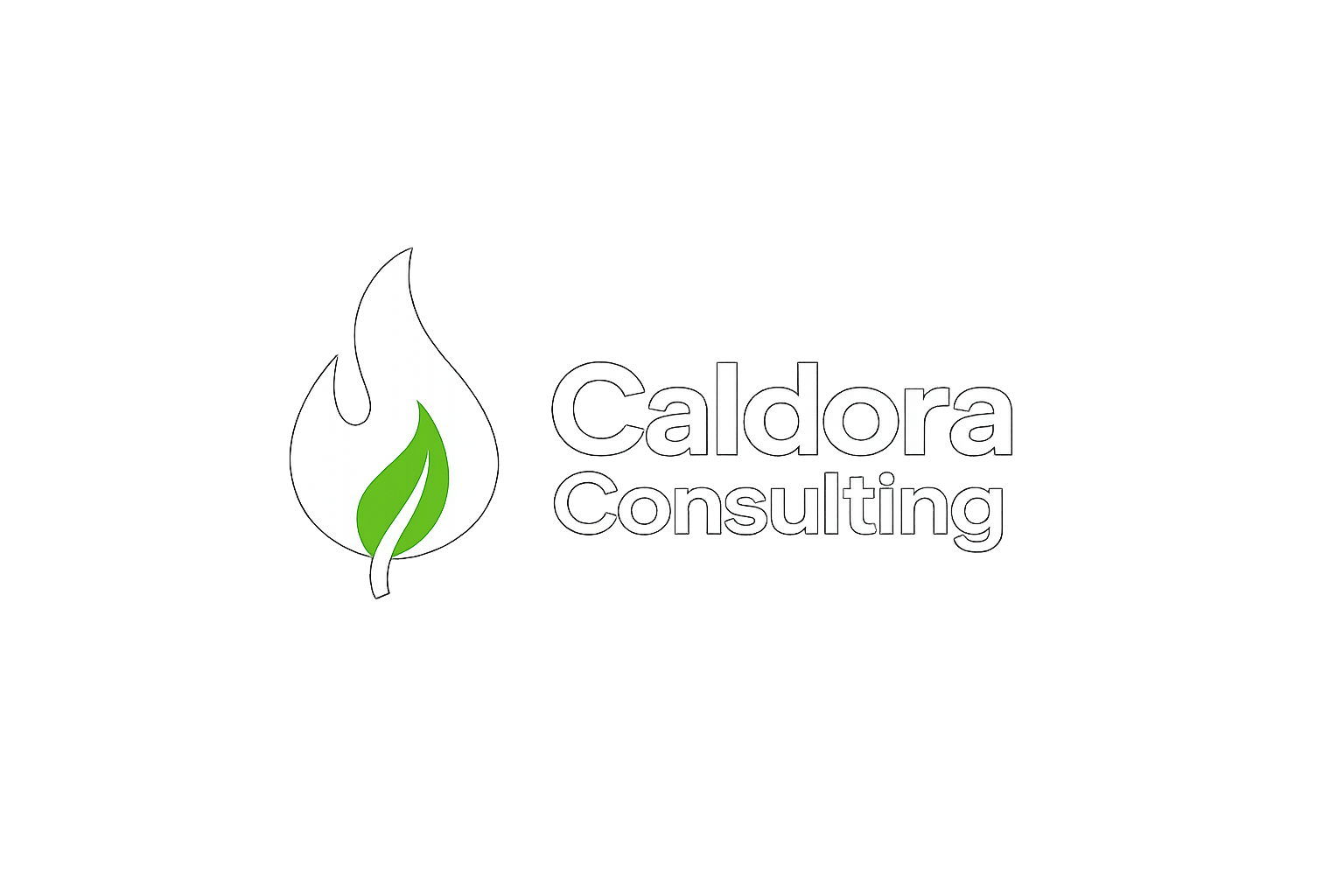Caldora Consulting